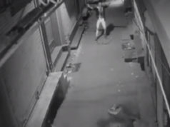 Netizens exclaim ‘bahut mehnat lagti hai’ as thief reveals how he breaks into house through barred window