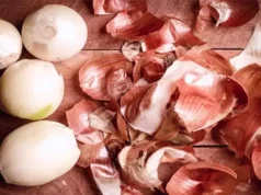 Why Should You Know the Benefits of Onion Peel Before Throwing It Away?