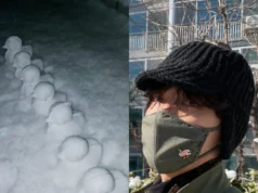 ARMY Celebrates ‘DTS Comeback’; BTS Leader RM Shares Photo of Seven Snowy Ducklings BTS