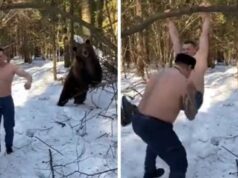 Netizens have been perplexed by a viral video showing two men working out in the woods with a bear Brown Bear