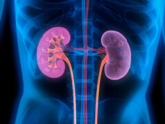 Renal Disease as a Risk for Diabetic Patients: Everything You Need to Know Lifestyle