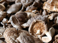 Increased mushroom consumption may be beneficial to intestinal health.