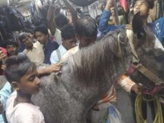 A video of a horse riding on a local railway in West Bengal has gone viral.