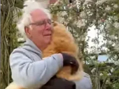 Owner is asked to stop what he’s doing and hug the cat. Viral