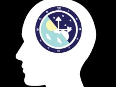 What you can do to re-establish your circadian rhythm Lifestyle