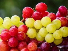 An “obsessed” fruit vendor’s viral video splits the internet Viral