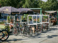 A viral video of an elderly couple crossing the street together will convince you that love never dies. Viral