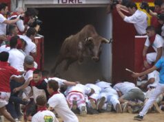 Viral video: A man is trampled in front of spectators while trying to tease a bull in the streets. a bull