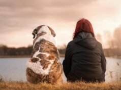 Dietary advice for a disease-free and healthy pet Dog