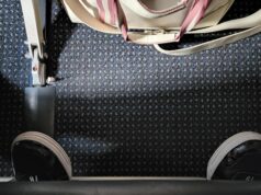 Internet Divided by ‘Irritating’ Flight Act of Passenger