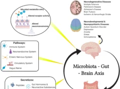 Behavioral patterns that harm your gut