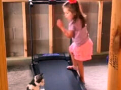 A video of a little girl teaching her adorable pet cat how to use a treadmill gets viral