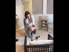 Cat-owning pet parent joins the trend on Instagram. Watch the cat’s response.