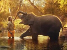 This Oscar winning documentary, ‘The Elephant Whisperers’ cannot be missed!