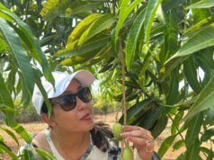 Go Bananas over delicious Mango recipes!