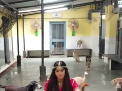 Adah appeals to the Prime Minister on behalf of the stray animals