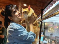 Madhurima Tuli is a quintessential animal lover, takes out special time to celebrate her cat Gabru’s birthday