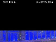 Shama Sikander grooves to classical music for the first time at a live event in Jaipur, enthralls audience with her perfection